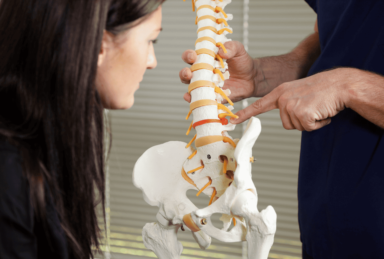 medical professional showing off spinal column prop to patient