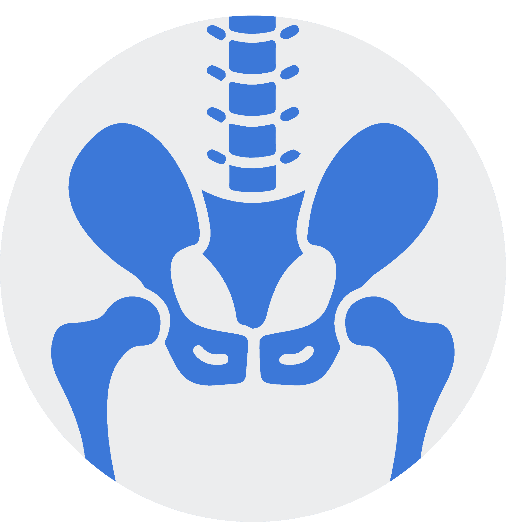 pelvic icon with bones
