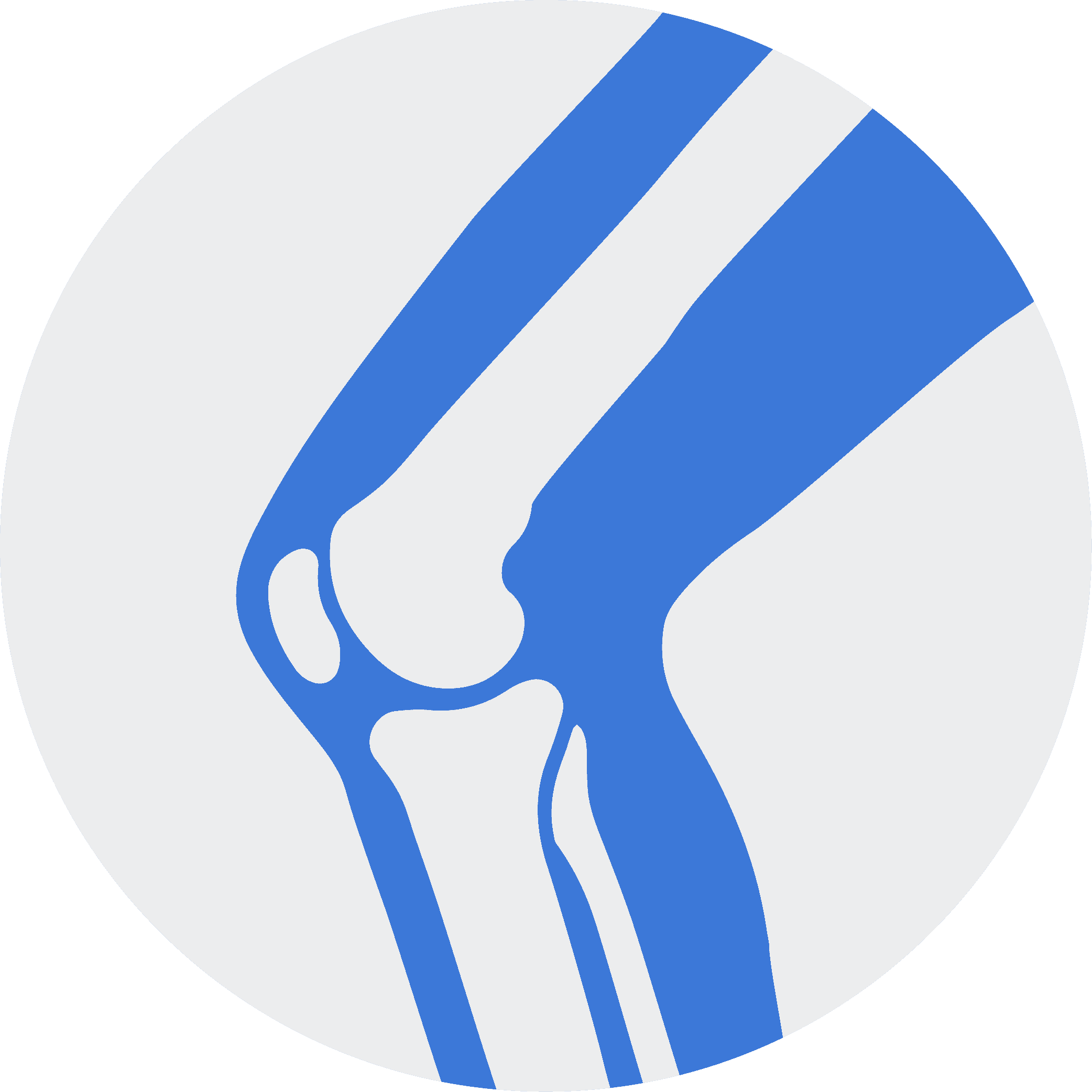 knee icon with bones