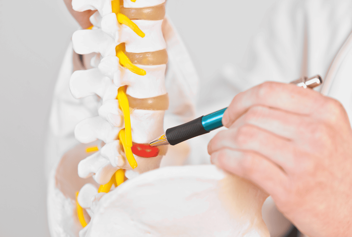 doctor pointing out spinal column with pen